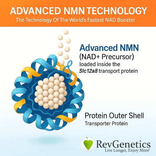 RevGenetics Advanced NMN 1000: High-Purity NAD+ Precursor Supplement Advanced_NMN_Technology_nicotinamide_mononucleotide_slc12a8_transporter_nmn_50_off_NAD_Supplement_Booster Member Products,All Products