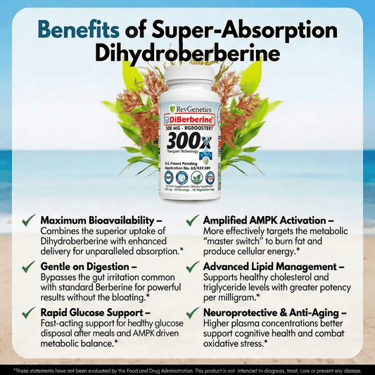 RevGenetics DiBerberine 300x: Dihydro Berberine Enteric + 300x Patent Pending Booster DiBerberine-Benefits-x1500_x Member Products,All Products