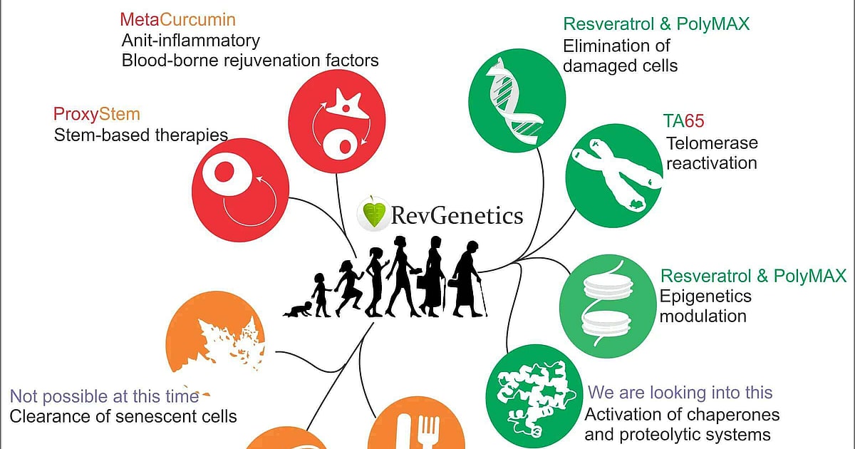 The nine hallmarks of aging and breakthrough interventions overview