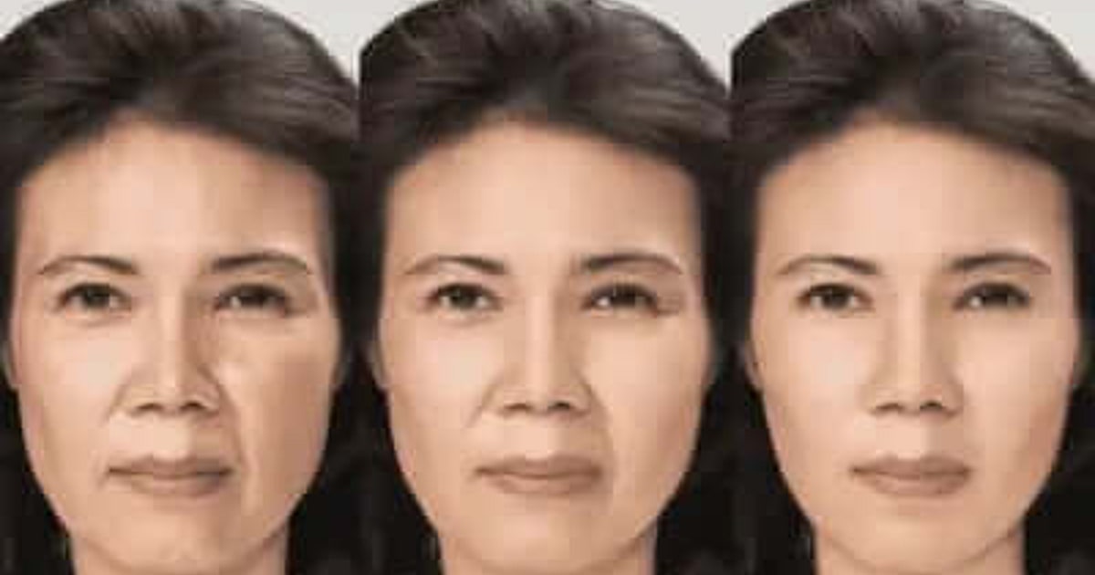Japanese epigenetic aging reversal research illustration