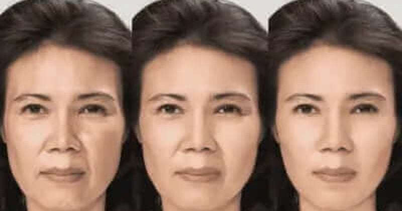 Japanese epigenetic aging reversal research illustration