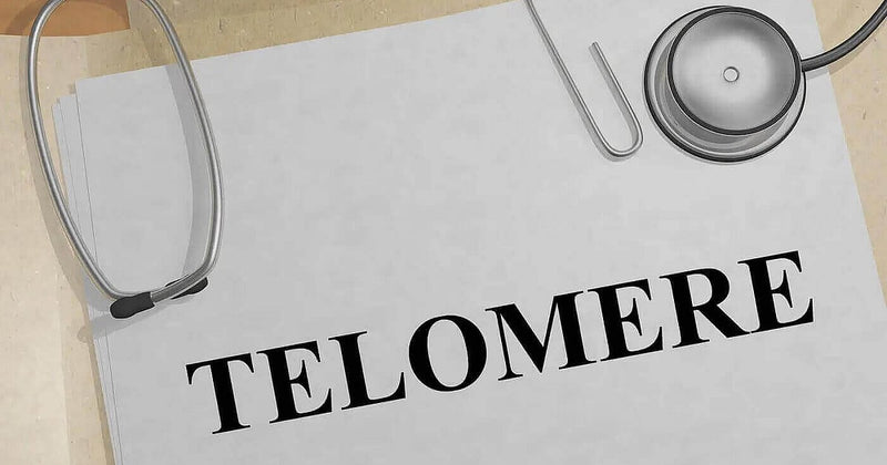 Telomere biology and muscular dystrophy research hero image