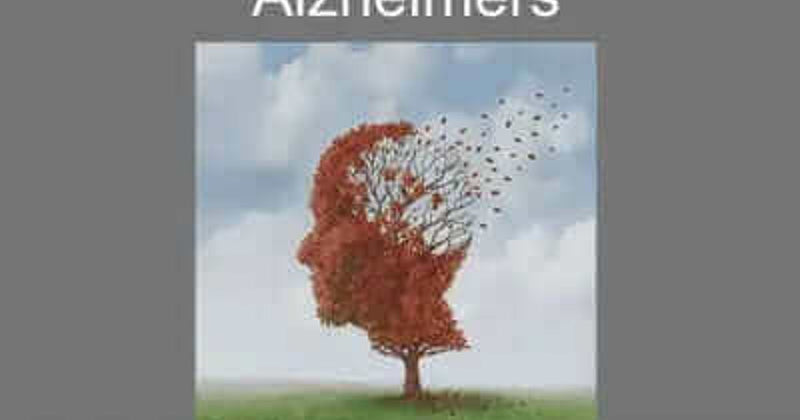 Micelle Curcumin and Neuroscience Research: What the Studies Examined