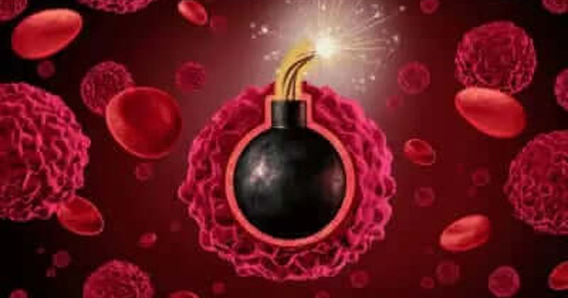 Molecular timers, the clock-like mutational processes that accumulate DNA changes in human cells over time