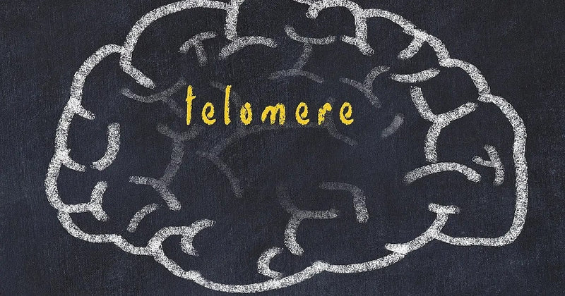 Telomere Science Literature Roundup