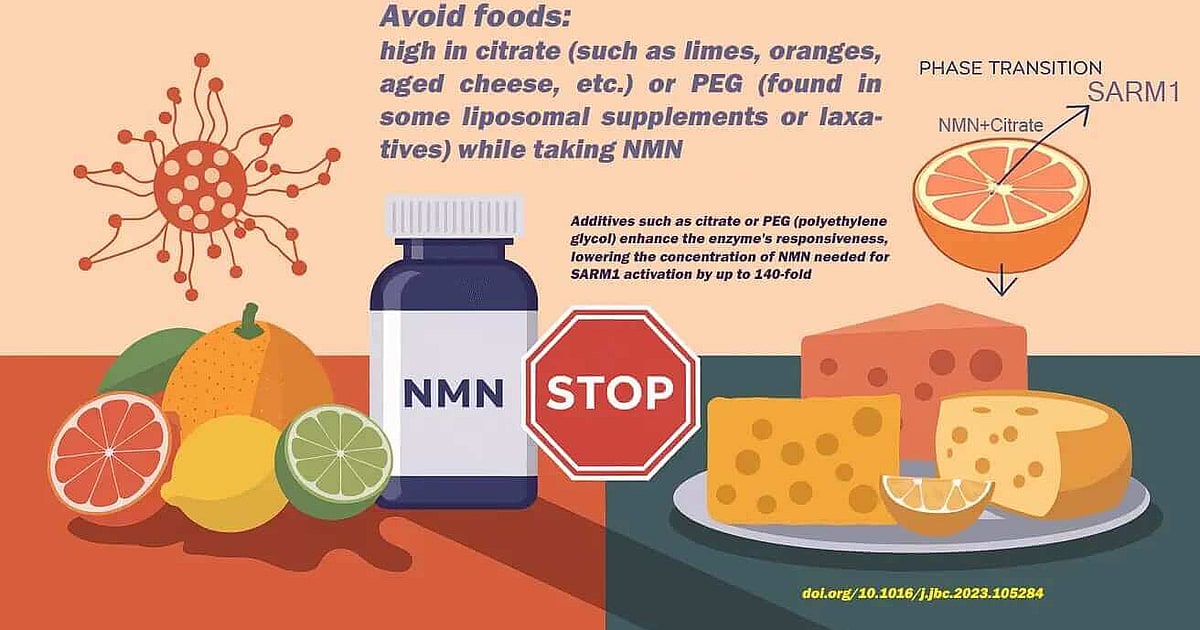 NMN Supplements: The Complete Science-Backed Guide to NAD+ Boosting, Dosage, Benefits and Foods