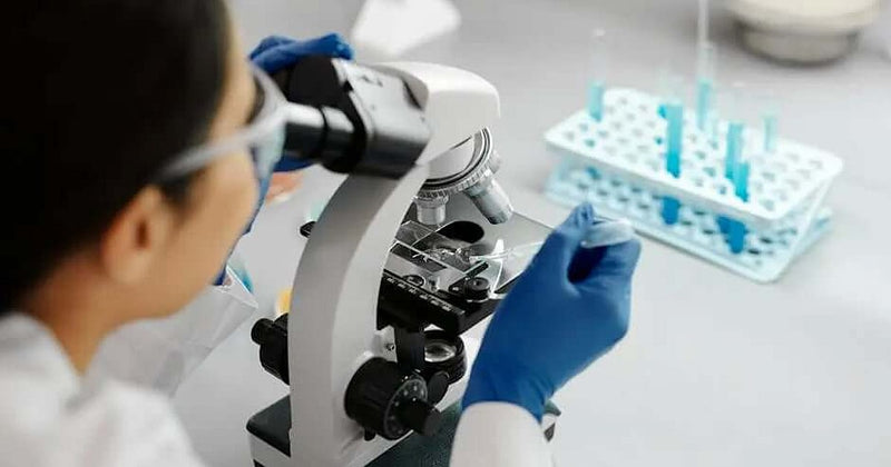 Laboratory research imagery representing sirtuin activator gene-activation science