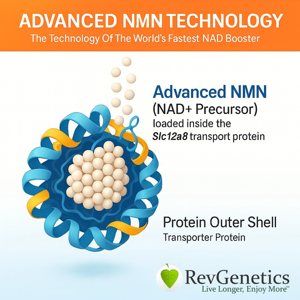 Advanced NMN 1000: NMN Supplement Nicotinamide Mononucleotide image 3
