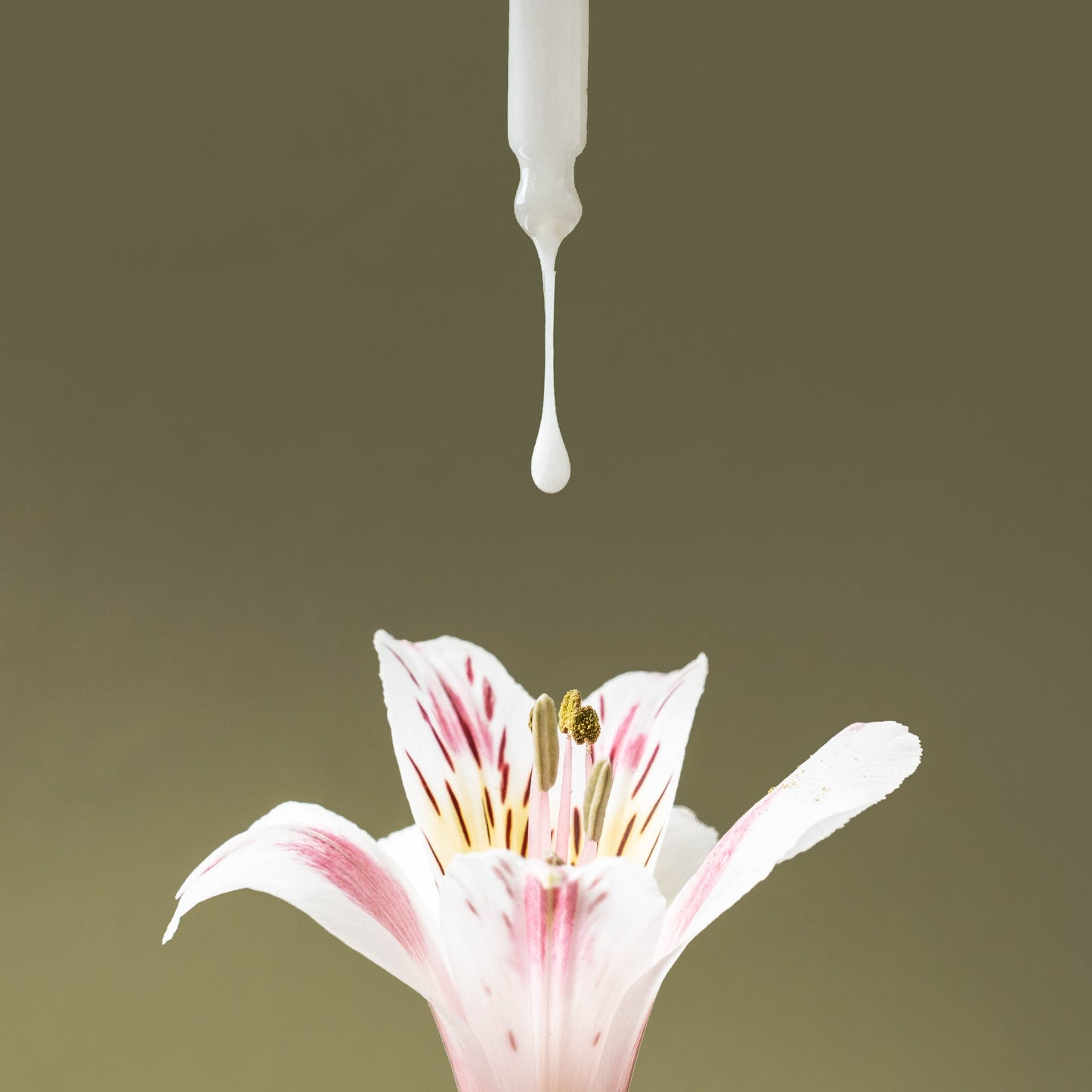 IDEO Skincare Skin Memory Serum - U.S. Patent No. 8,435,547 IDEO-December2021-15