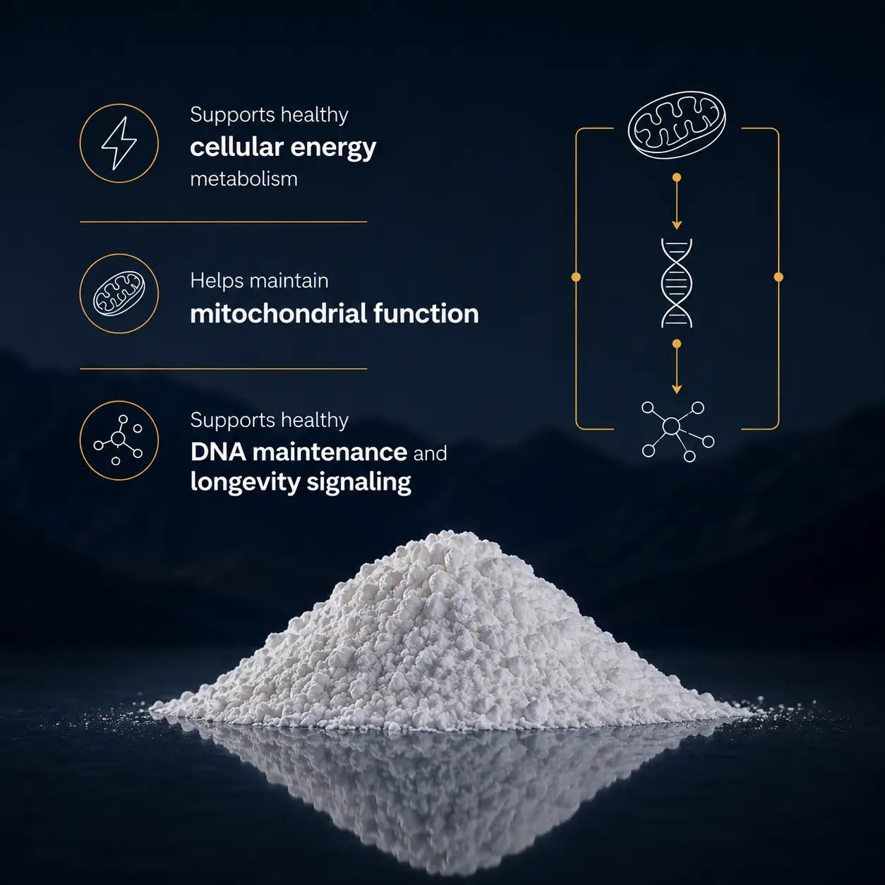 PRESALE: Advanced NMN Supplement Powder- 100 Gram Jar NAD+ Precursor for Cellular Energy & Longevity Support -  Made in USA GMP-Certified lab  By RevGenetics - Ships Mid August