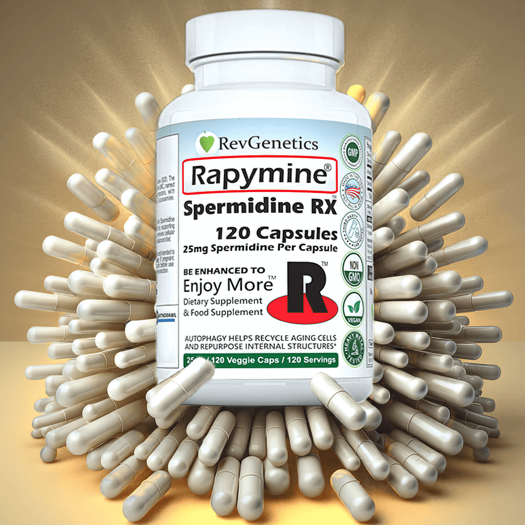 Rapymine spermidine supplement 25mg capsules for cellular autophagy longevity and healthy aging support