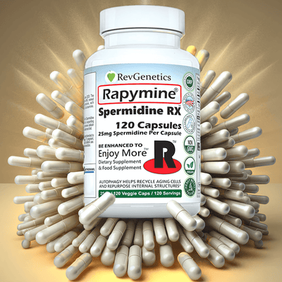 Rapymine Spermidine 25mg Supplement for Cellular Autophagy and Longevity